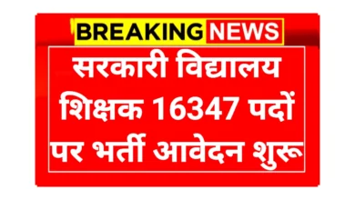 Govt School Teacher