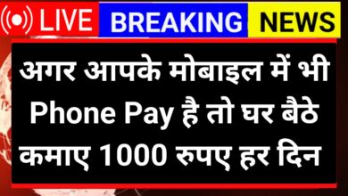 Phone Pay App Se Paise Kamaye